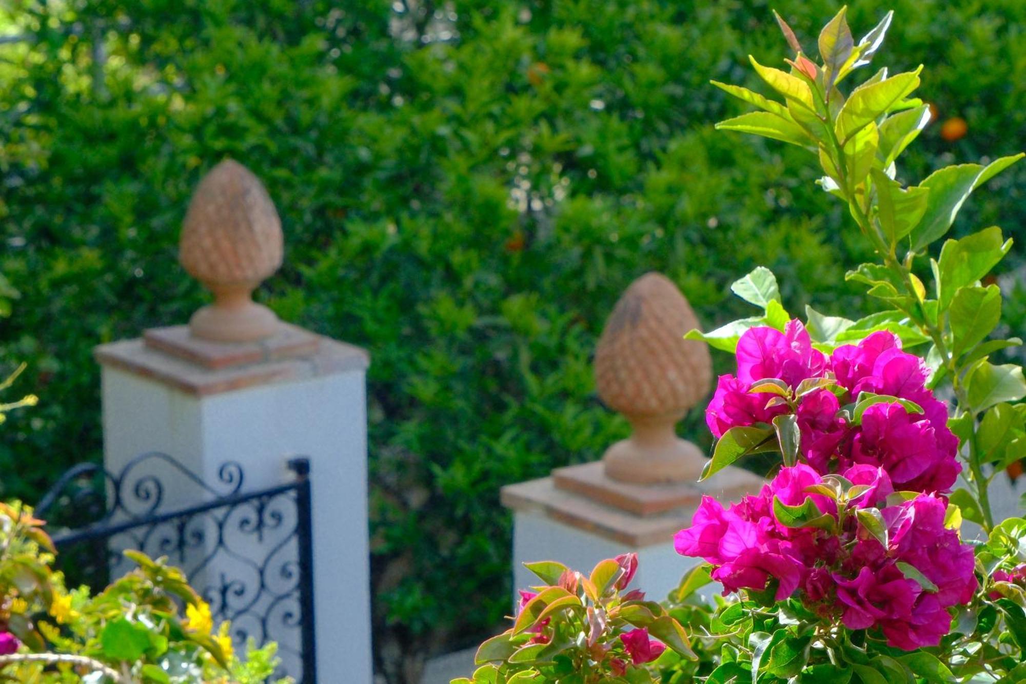 Villa Dorothee Capri Exterior foto